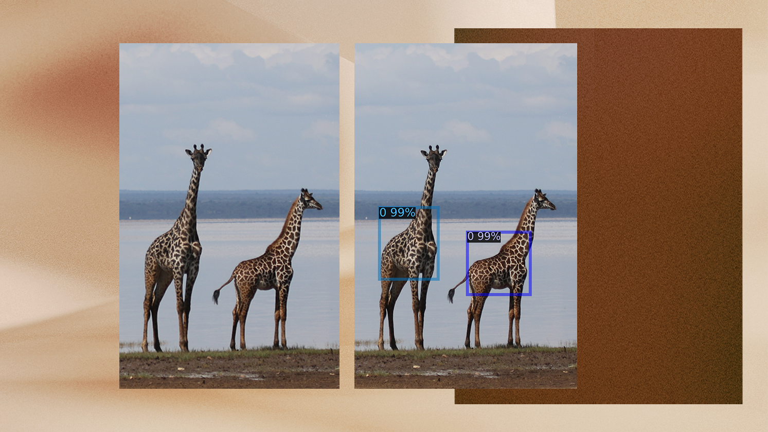Microsoft, Wild Nature Institute Launch AI tool to Monitor Wildlife